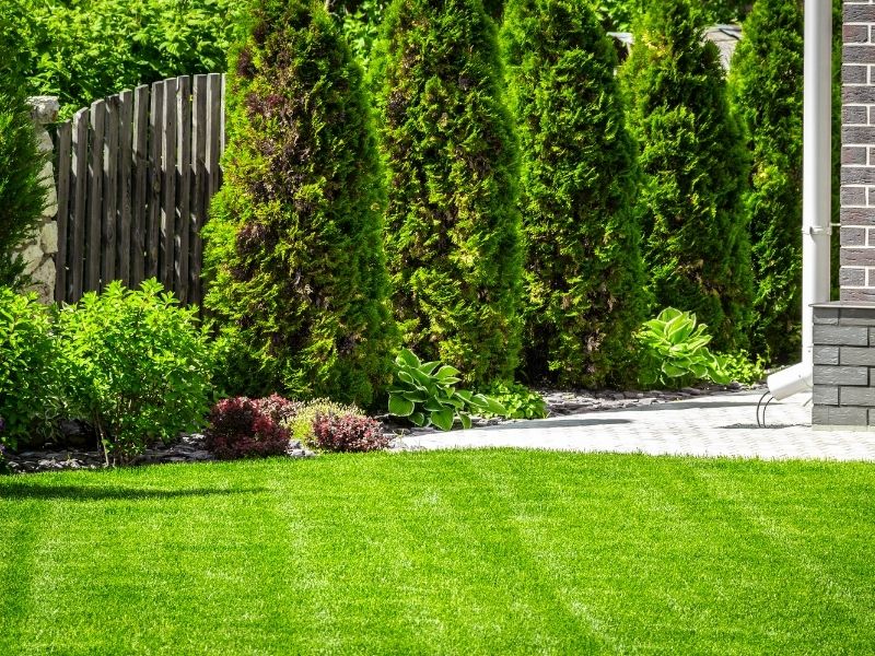 green grass with large trees next to home